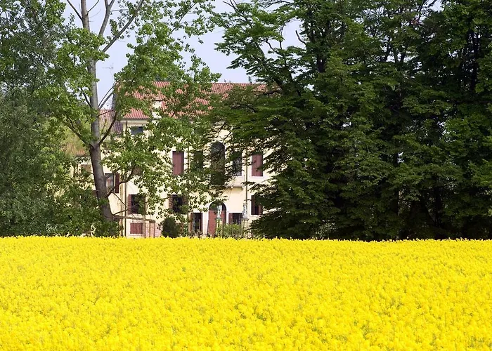Selvatico Farm stay *