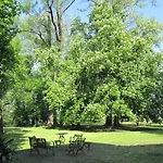 Selvatico Vigonza