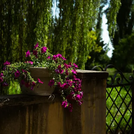 Alloggio per agriturismo Selvatico *