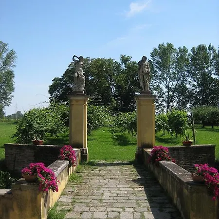 Selvatico * Vigonza